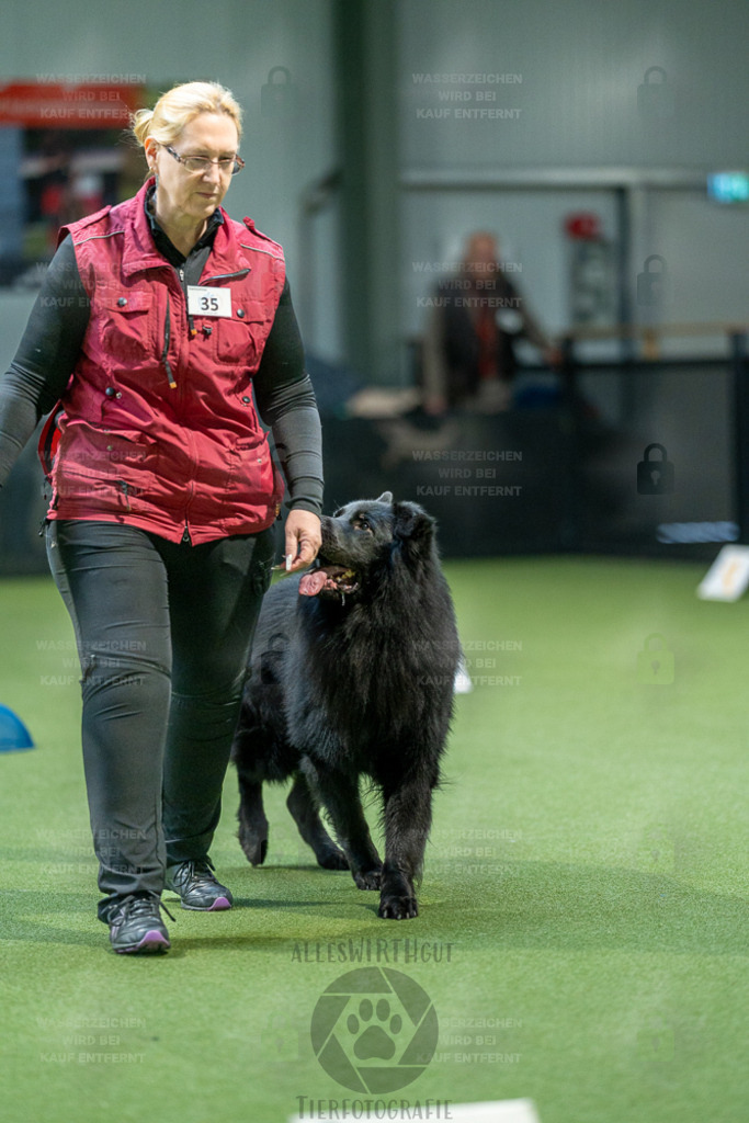 7IV03367 | Professionelle Tierfotografie in Mönchengladbach von Daniel Wirth (allesWIRTHgut). Liebevolle & natürliche Bilder von Hunden & Katzen für unvergessliche Erinnerungen.