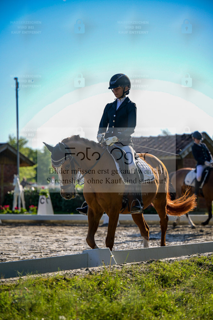 Reitturnier Lienen | Bilder aus dem Reitsport by Foto Oger - Domenic Schlinge - Realisiert mit Pictrs.com