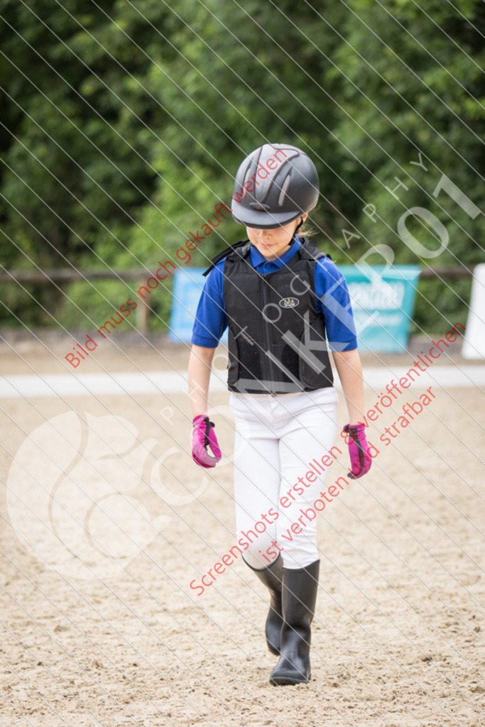 IMG_9445 | Hier findest Du viele Augenblicke aus den Bereichen der Turnier-, Sport- & Tierfotografie. Bilder mit deinem Liebling, Portrait-, Bewerbungs-, Businessbilder können ebenfalls schnell und einfach erstellt werden.