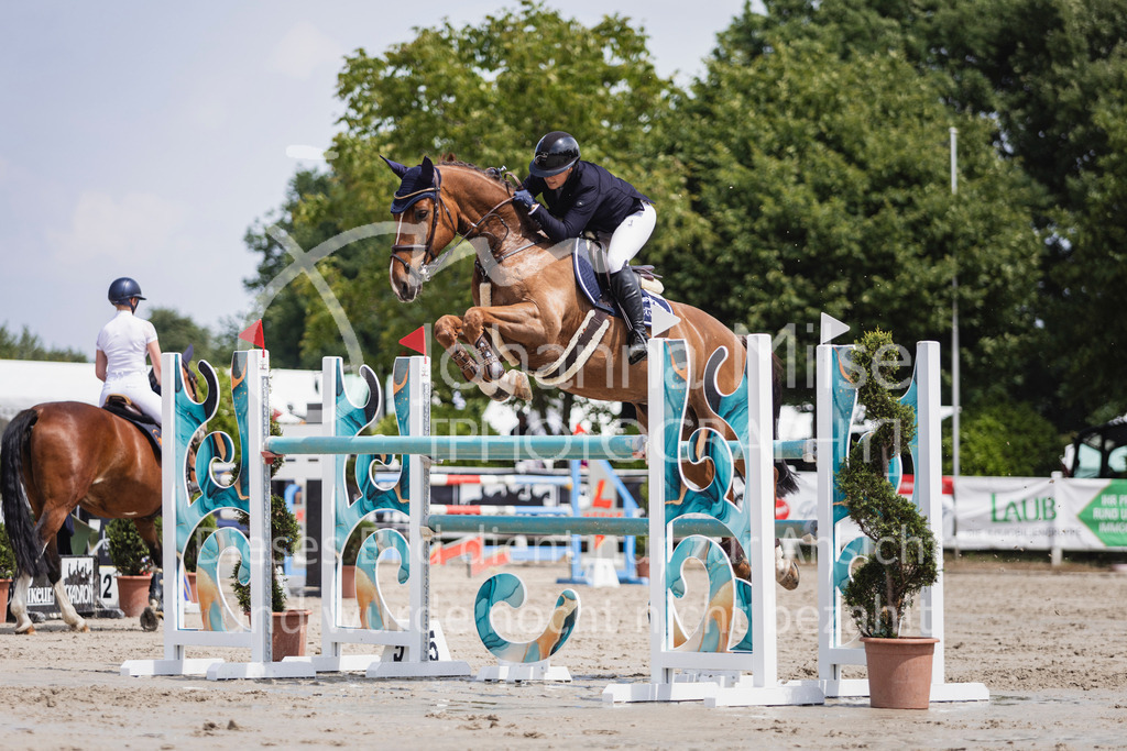 250531_MayDays_M2-SpringenmstAnf-758 | Pferdesportfotografie Reitsportfotografie Horsesports Photography Stockfotos Reitsportfotos Pferdefotos
