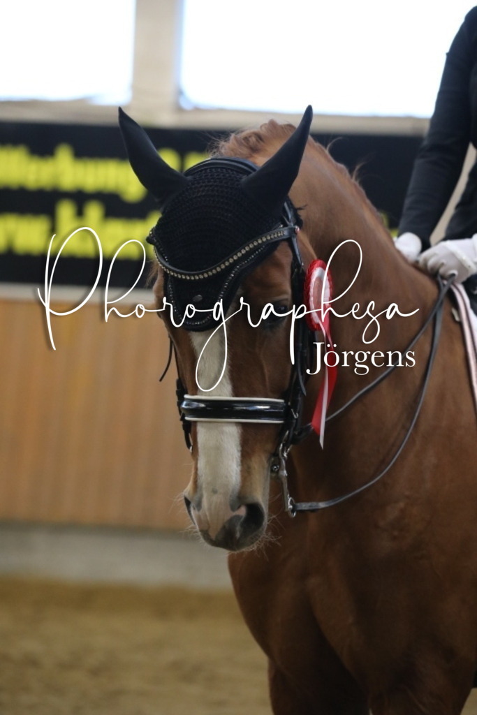 IMG_2117 | photographesa-joergens - Realisiert mit Pictrs.com