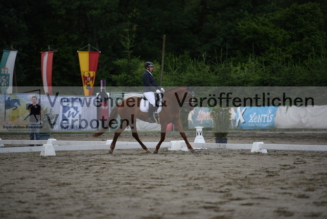 DSC_6449 | equestrian-live-com