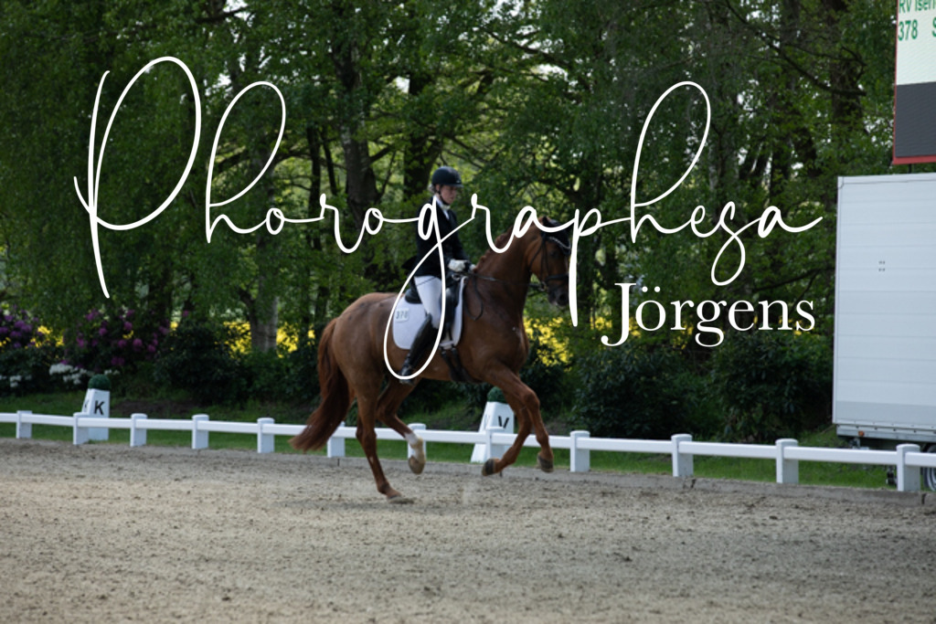 IMG_5877 | photographesa-joergens - Realisiert mit Pictrs.com