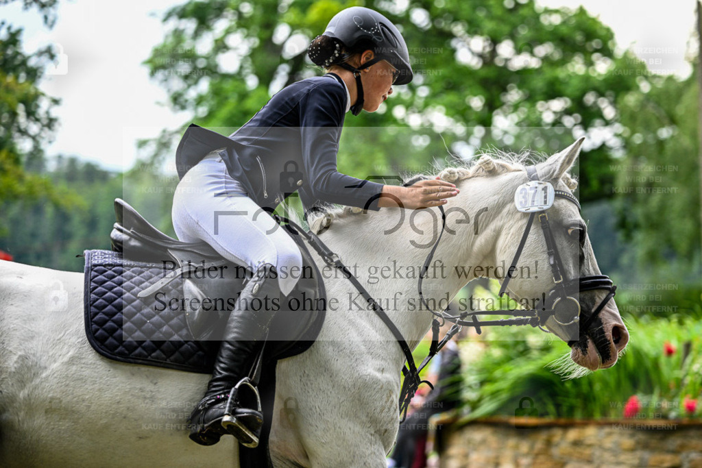 Bissendorfer Reitertage | Bilder aus dem Reitsport by Foto Oger - Domenic Schlinge - Realisiert mit Pictrs.com