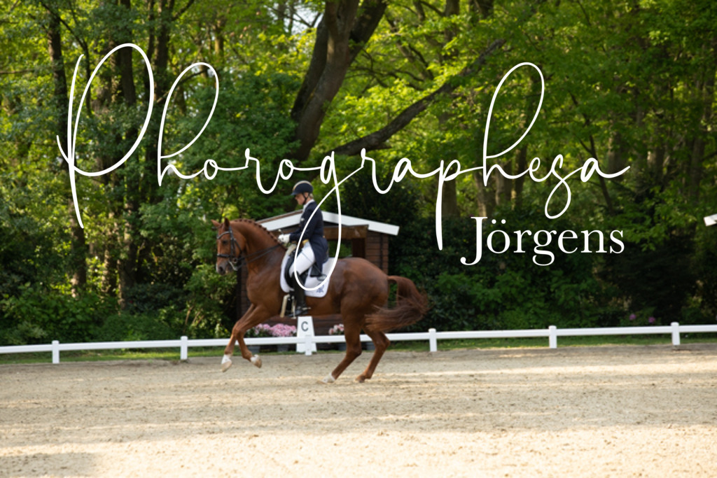 IMG_8576 | photographesa-joergens - Realisiert mit Pictrs.com