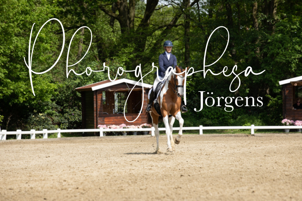 IMG_0720 | photographesa-joergens - Realisiert mit Pictrs.com