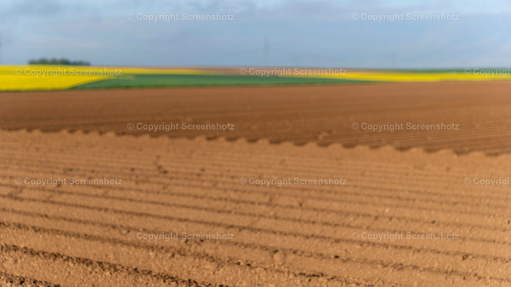 LED_H_Spring_Field4_Bokeh | screenshotz - Realisiert mit Pictrs.com