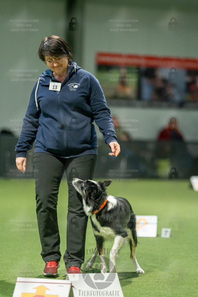 7IV02835 | Professionelle Tierfotografie in Mönchengladbach von Daniel Wirth (allesWIRTHgut). Liebevolle & natürliche Bilder von Hunden & Katzen für unvergessliche Erinnerungen.