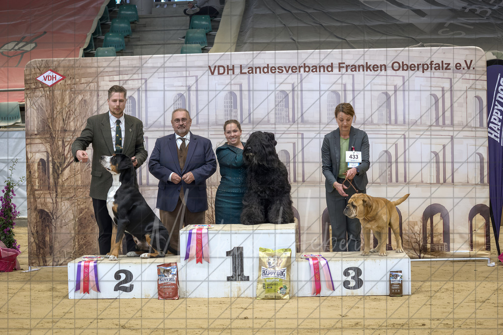 DS - FCI Gruppe 2_0061 | Markus Heber Photography