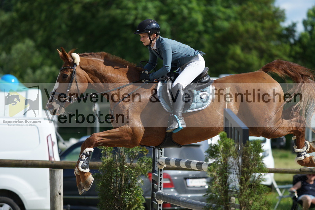 DSC08439 | equestrian-live-com
