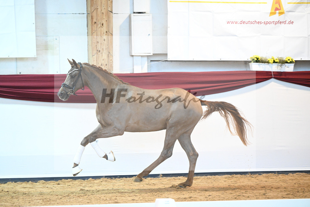 Kat-Nr. 7 v. Bon Courage_Plank_66220102 | hf-fotografie - Realisiert mit Pictrs.com