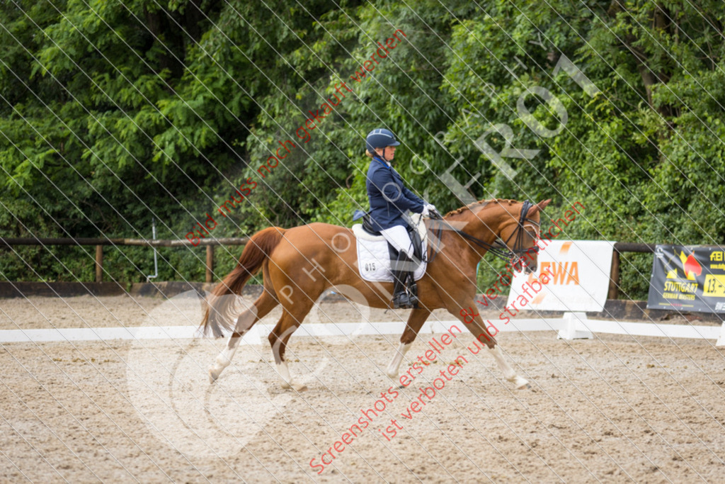 IMG_5790 | Hier findest Du viele Augenblicke aus den Bereichen der Turnier-, Sport- & Tierfotografie. Bilder mit deinem Liebling, Portrait-, Bewerbungs-, Businessbilder können ebenfalls schnell und einfach erstellt werden.