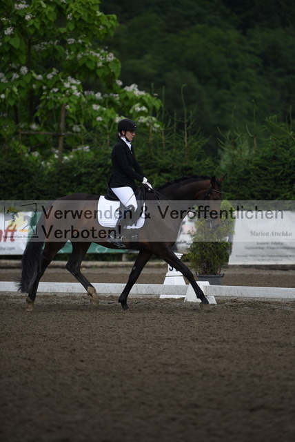 DSC_8964 | equestrian-live-com