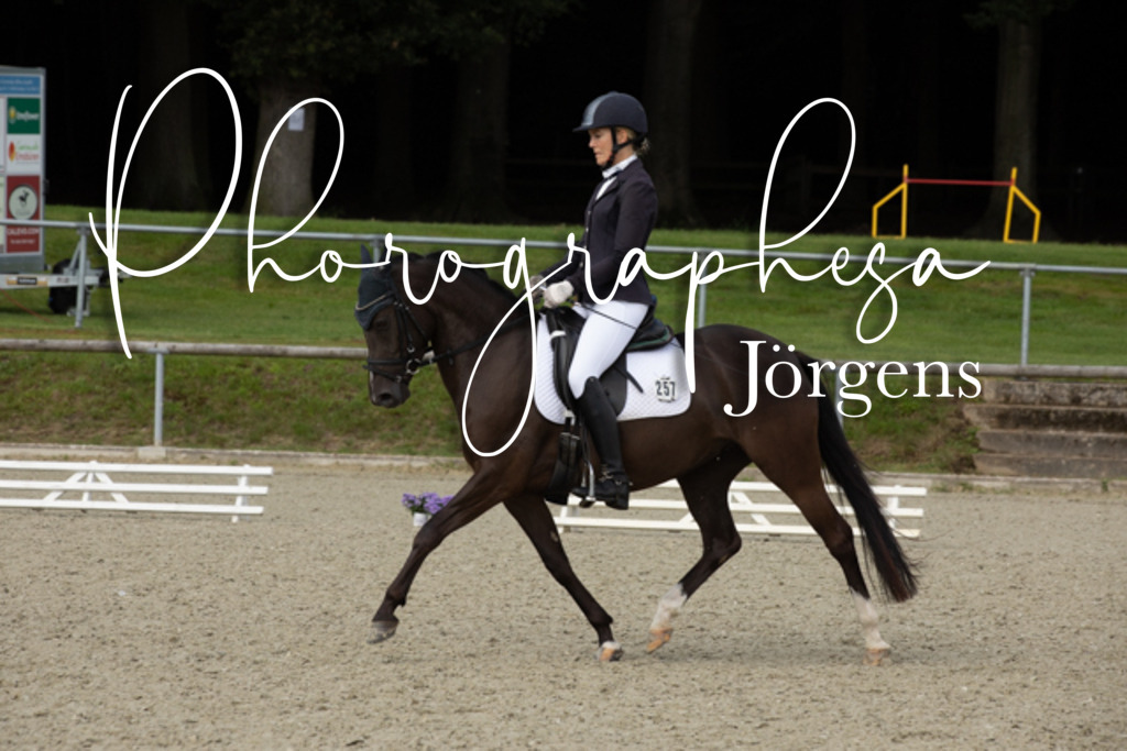 IMG_8357 | photographesa-joergens - Realisiert mit Pictrs.com
