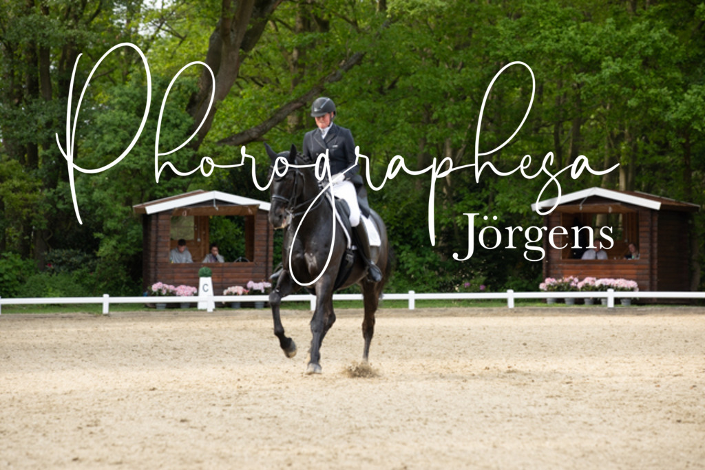 IMG_2904 | photographesa-joergens - Realisiert mit Pictrs.com