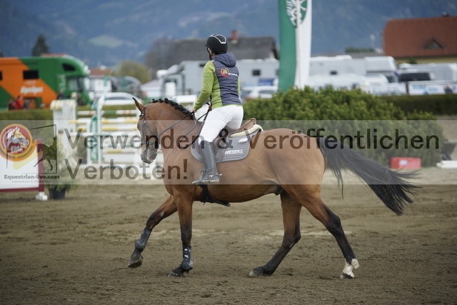 _DSC8077 | equestrian-live-com