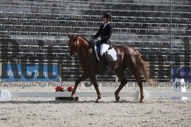 Marbach_2023_Prfg.Nr.11_Dressur_Kl.S_Amateure_Andrea Strobel_Lord Anton 2 (2) | Alle Fotos der Reiterjournal Fotografin Doris Matthaes im Reiterjournal Online-Fotoshop. - Realizzato con Pictrs.com