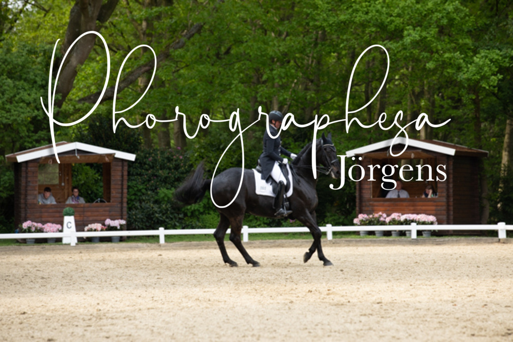 IMG_2912 | photographesa-joergens - Realisiert mit Pictrs.com