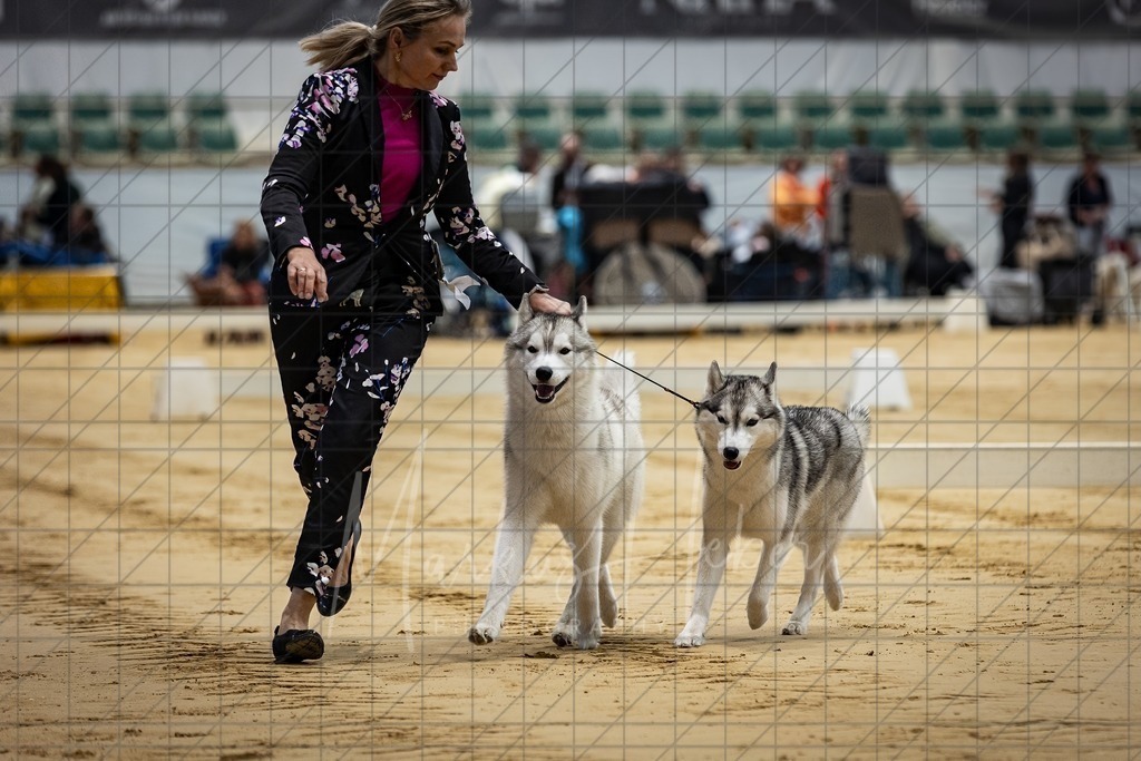 DS - Paarklasse_0082 | Markus Heber Photography