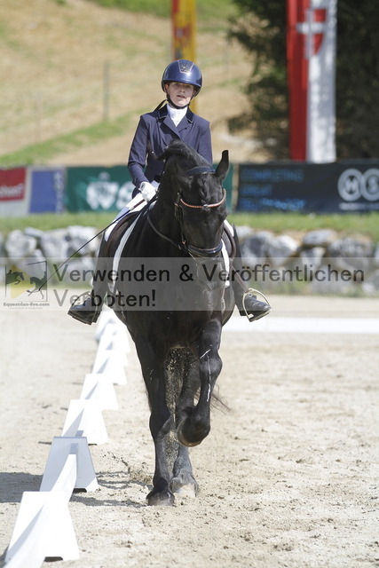 _MG_9579 | equestrian-live-com