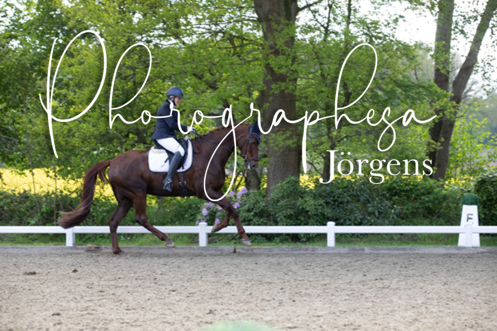 IMG_9965 | photographesa-joergens - Realisiert mit Pictrs.com