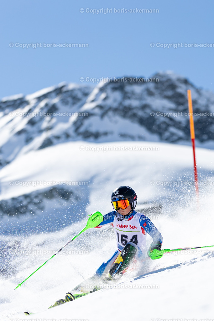 _B0A1912 | Photography, Fotografie, Sportfotografie, Wildlife, Saas-Fee, Nature, Tierfotografie, Wallis, Naturfotograf, Karpathos, Windsurfen, Surffotografie, Sportsphotography, Marmot, Capra, Ibex, Mountainibex, Schweiz, Italien, Griechenland, Urlaub, Bartgeier