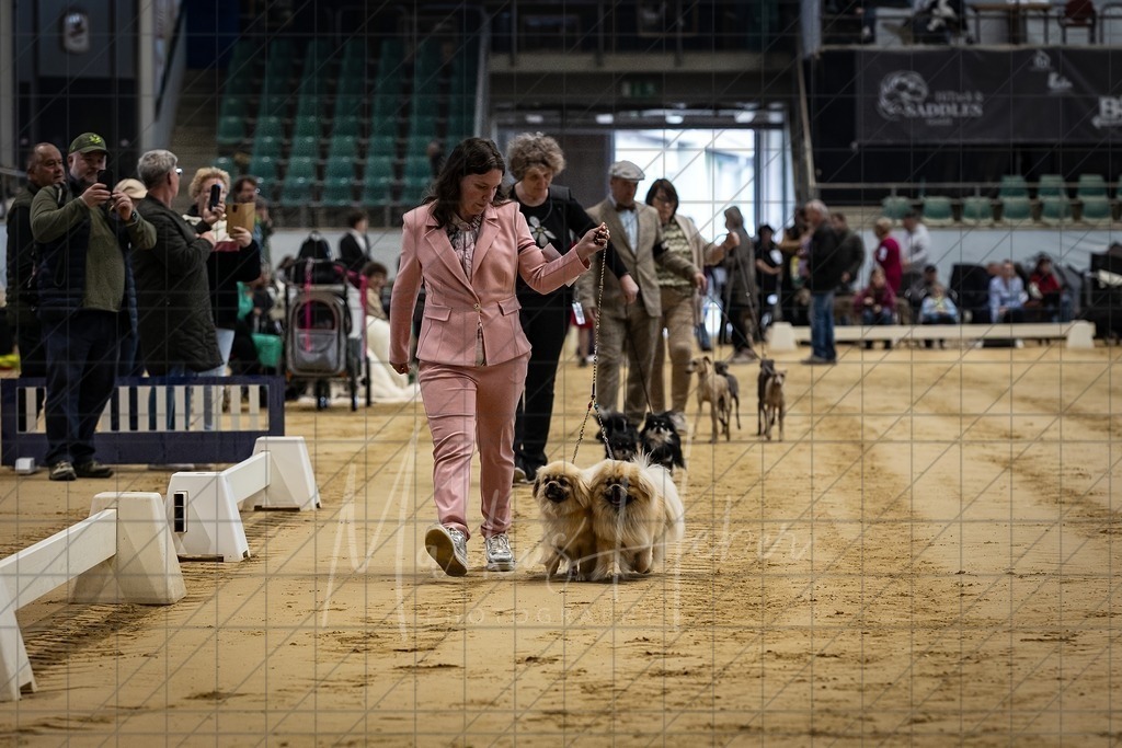 DS - Paarklasse_0038 | Markus Heber Photography
