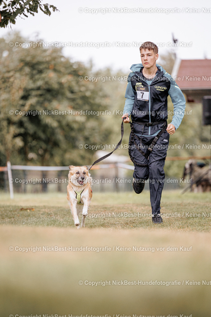 GL Kamera_1_-11 | Erleben Sie einzigartige Hundefotografie in Bremen Blumenthal. Ich fange die besonderen Momente Ihres Vierbeiners ein – ob Indoor mit Blitzanlage oder in der Natur. Kontaktieren Sie [Niklas Voth/Nickbest_Photography] für ein professionelles Fotoshooting.