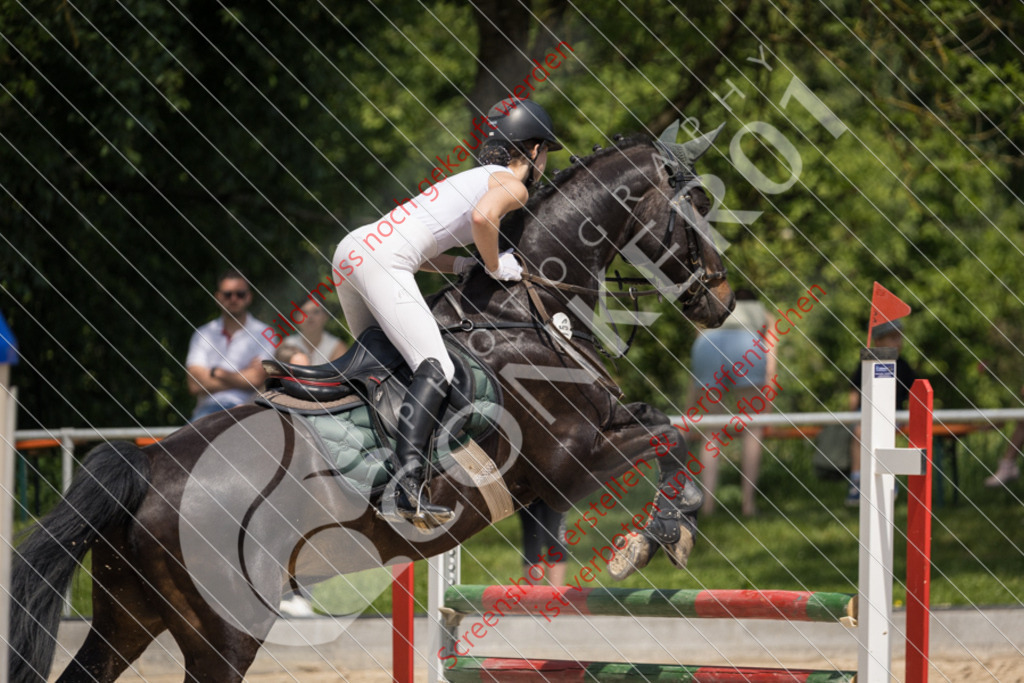 IMG_9696 | Hier findest Du viele Augenblicke aus den Bereichen der Turnier-, Sport- & Tierfotografie. Bilder mit deinem Liebling, Portrait-, Bewerbungs-, Businessbilder können ebenfalls schnell und einfach erstellt werden.