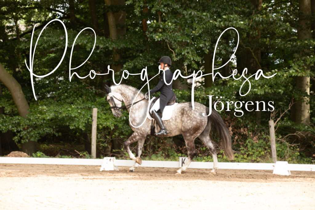 IMG_2394 | photographesa-joergens - Realisiert mit Pictrs.com