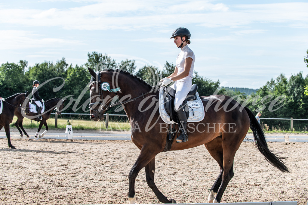 TBL_6665 | Turnierfotos von Reitturnieren in den Landkreisen Biberach, Ravensburg und in ganz Oberschwaben - von Tanja Bläschke - Colorsofahorse - Realisiert mit Pictrs.com