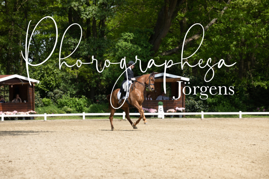 IMG_1204 | photographesa-joergens - Realisiert mit Pictrs.com