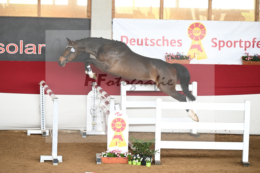 Kat-Nr. 22 Blueberry Spring v. Baloutaire_Engel u Pfizenmaier_9240515 | hf-fotografie - Realisiert mit Pictrs.com