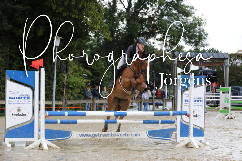 IMG_1600 | photographesa-joergens - Realisiert mit Pictrs.com