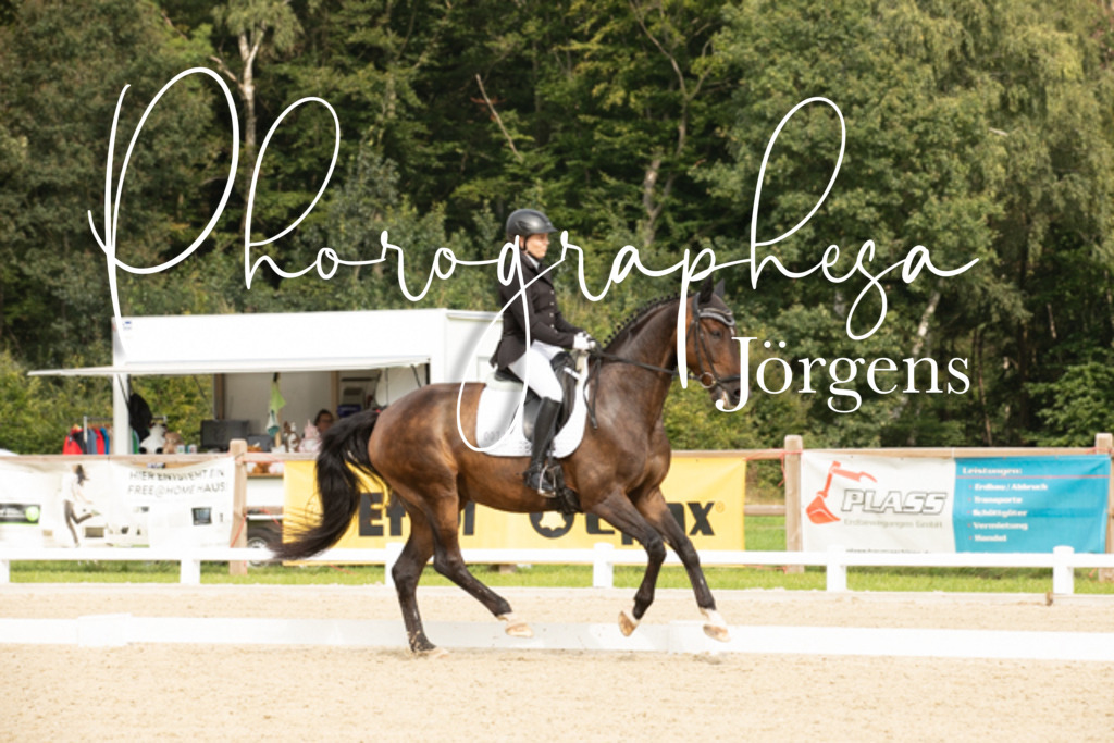 IMG_4359 | photographesa-joergens - Realisiert mit Pictrs.com