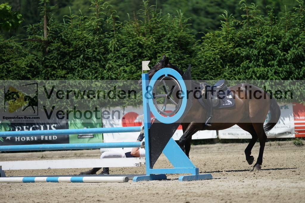 DSC08175 | equestrian-live-com