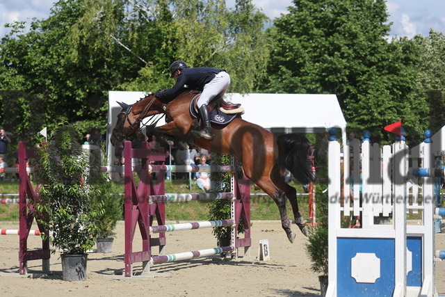 Ladenburg_2024_Prfg.Nr.04_Springprfg_Kl.S_BW-Bank_Qualifikation_Alexander Müller_Carolina Reaper (4) | Alle Fotos der Reiterjournal Fotografin Doris Matthaes im Reiterjournal Online-Fotoshop. - Realisiert mit Pictrs.com
