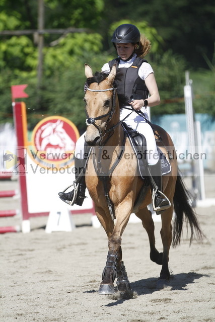 _MG_2690 | equestrian-live-com