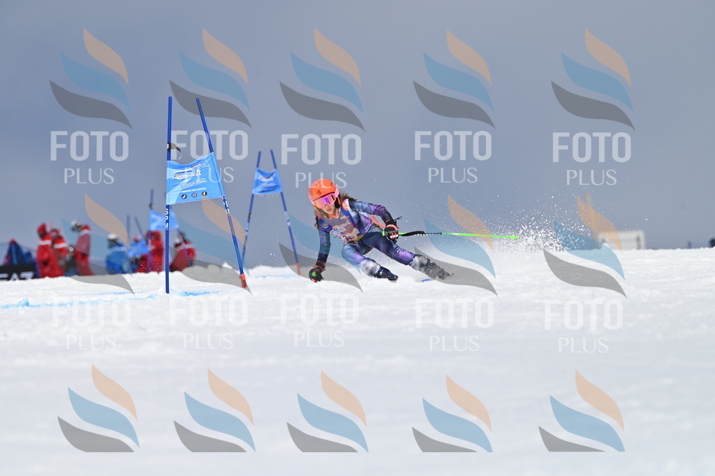 AGV_2806 | holidayphoto