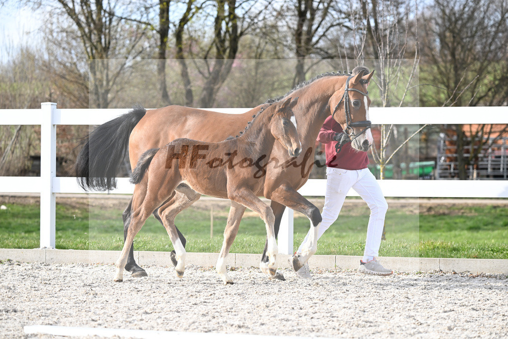 11 HF Conthalou_Herre_6230647 | hf-fotografie - Realisiert mit Pictrs.com