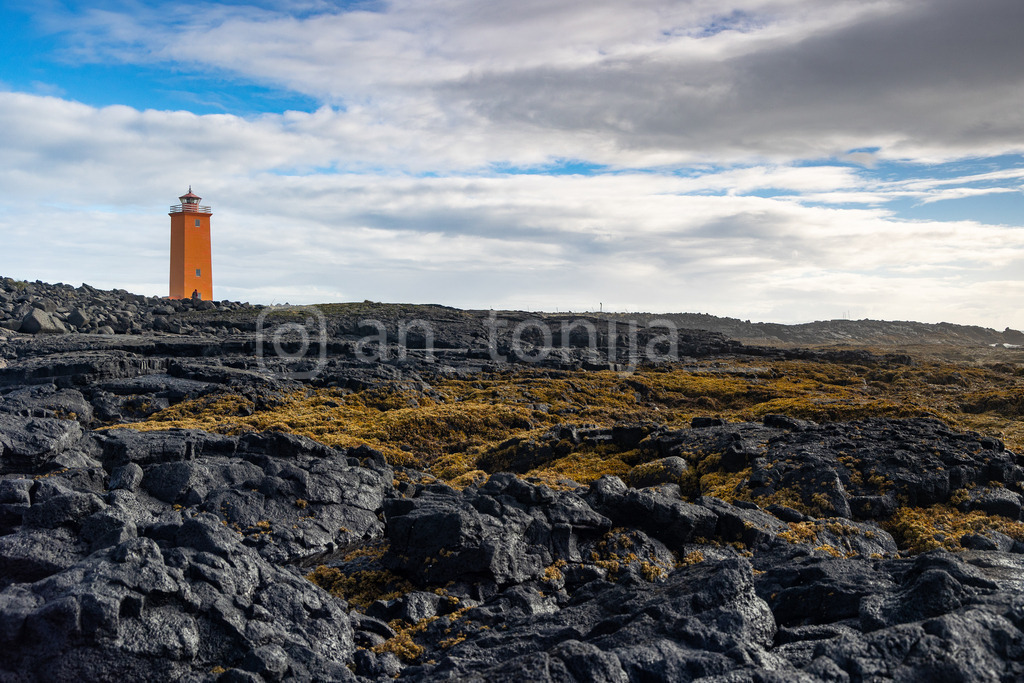 JB3A2902 | antonija-trupina - Realisiert mit Pictrs.com