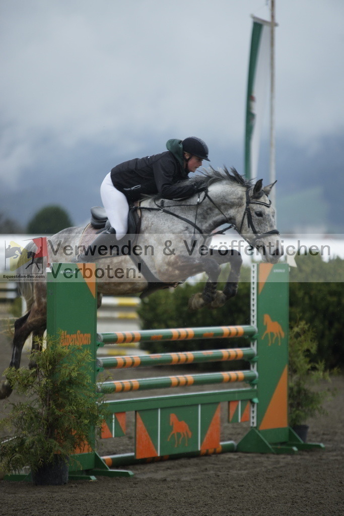 _DSC4150 | equestrian-live-com