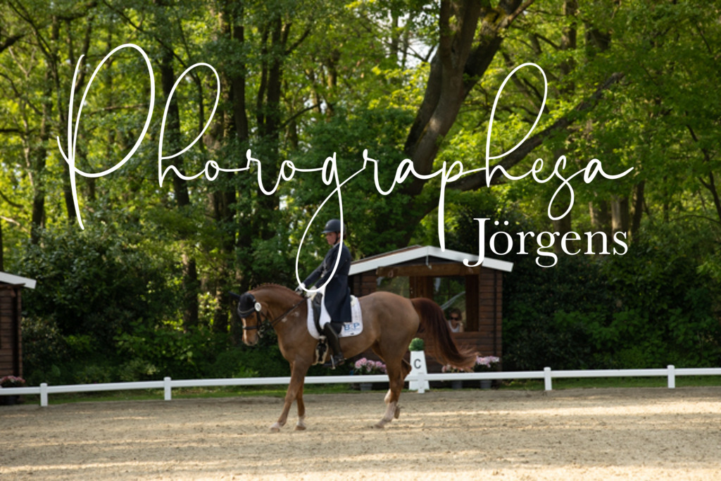 IMG_8404 | photographesa-joergens - Realisiert mit Pictrs.com