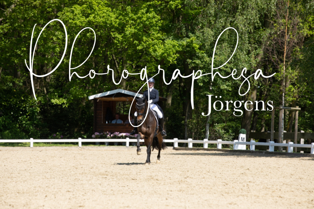 IMG_4556 | photographesa-joergens - Realisiert mit Pictrs.com