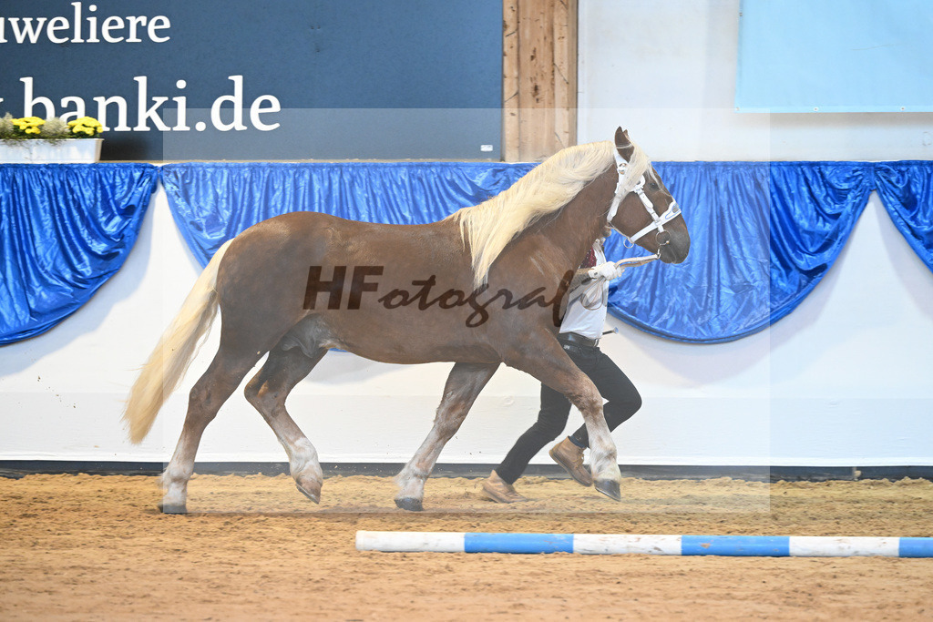 Kat-Nr. 48 Vaustus v. Voithberg_Sixt_61220766 | hf-fotografie - Realisiert mit Pictrs.com