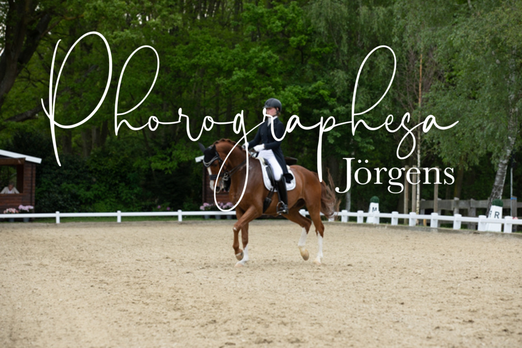 IMG_8787 | photographesa-joergens - Realisiert mit Pictrs.com