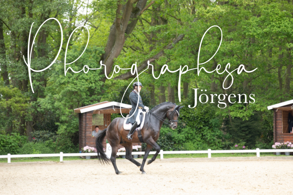 IMG_3318 | photographesa-joergens - Realisiert mit Pictrs.com