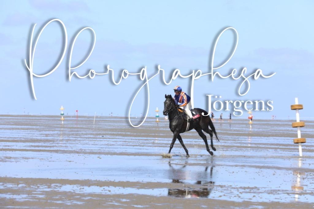 IMG_8569 | photographesa-joergens - Realisiert mit Pictrs.com