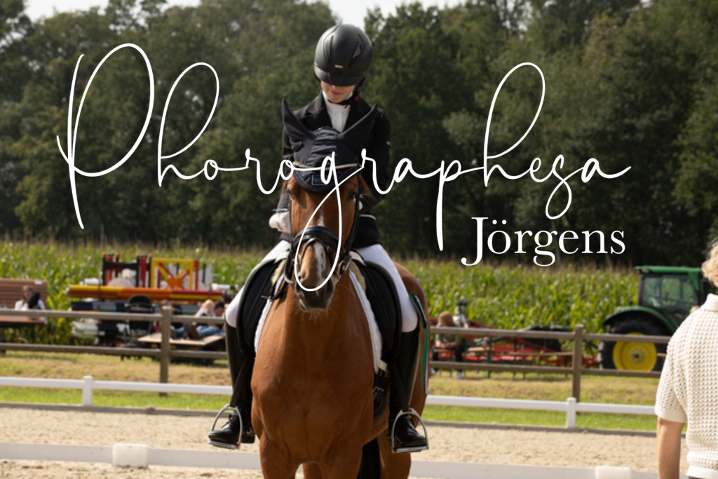 IMG_3904 | photographesa-joergens - Realisiert mit Pictrs.com