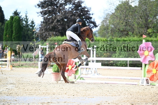 DSC_8574 | equestrian-live-com